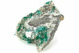 Gemmy Dioptase Crystals on Quartz - Sanda Mine, Congo #209676-1